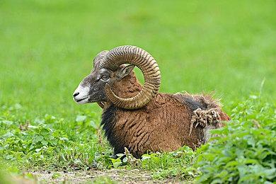 《战地2042》测试资格怎么获得？资格获取办法秒懂